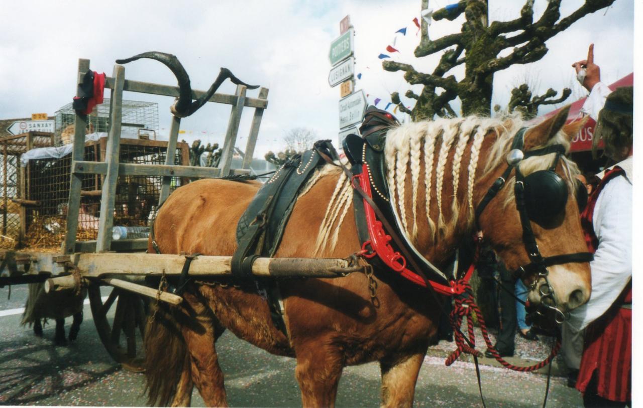 carnaval 2005